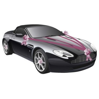 Kit voiture 5 pièces fuschia - Décoration de mariage