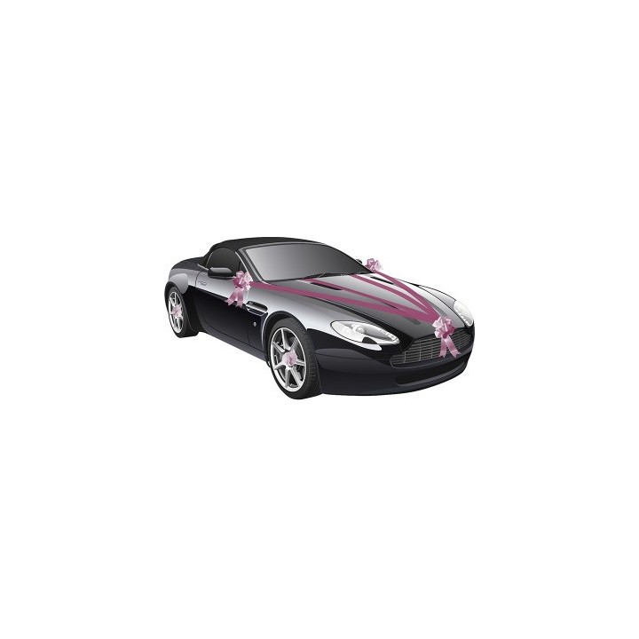 Kit voiture 5 pièces fuschia - Décoration de mariage