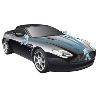 Kit voiture 5 pièces turquoise - Décoration de mariage