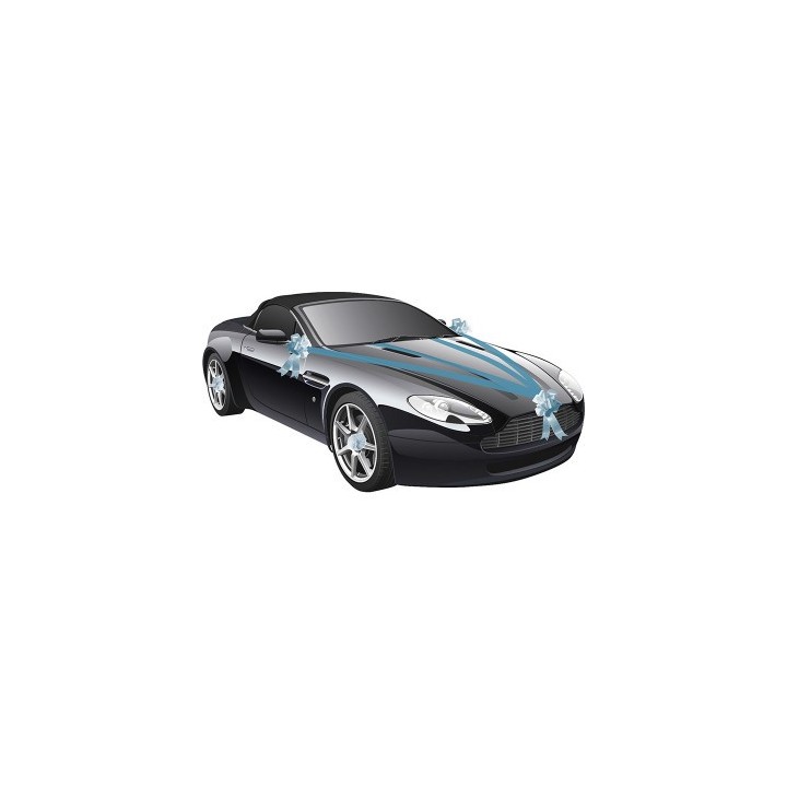 Kit voiture 5 pièces turquoise - Décoration de mariage