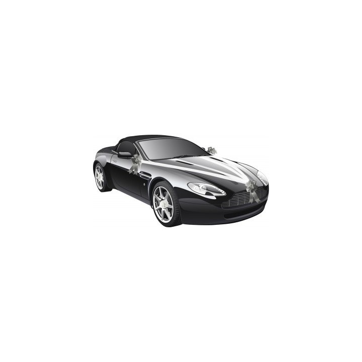 Kit voiture 5 pièces argent - Décoration de mariage