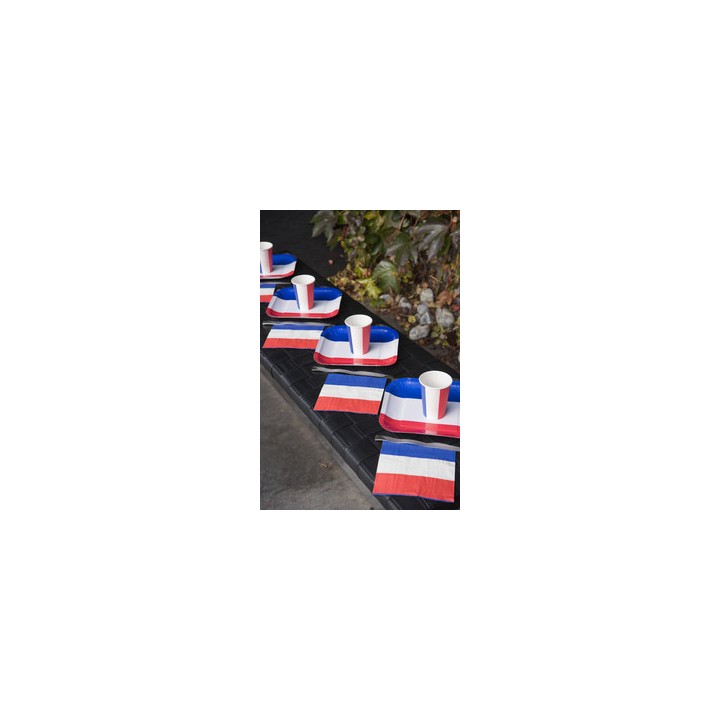 Serviettes papier drapeau France - Article de fête