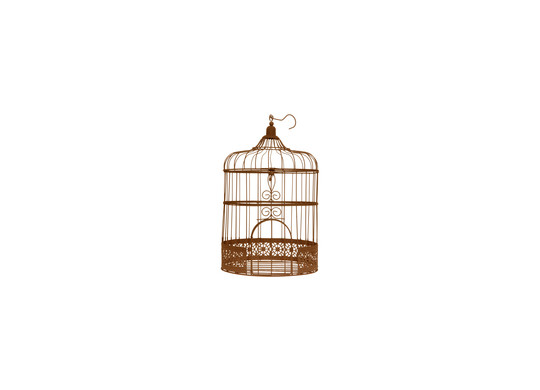 Cage à oiseau rouille vintage - Décoration de table