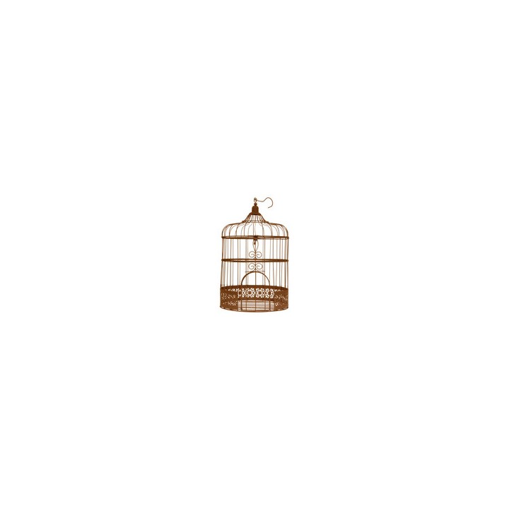 Cage à oiseau rouille vintage - Décoration de table