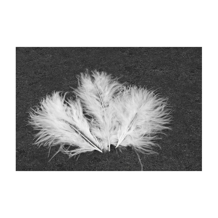 Plumes - Décoration de table