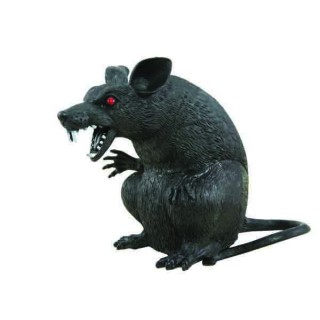 Rat noir