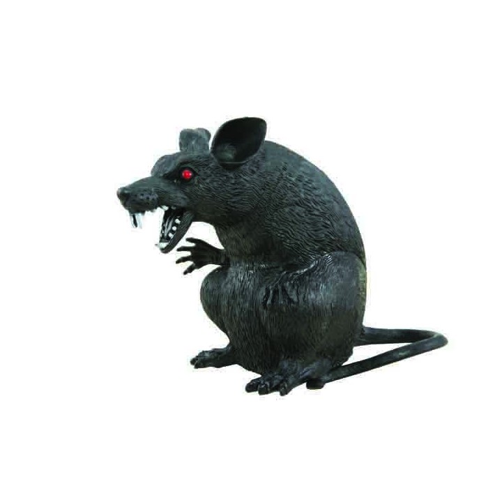 Rat noir