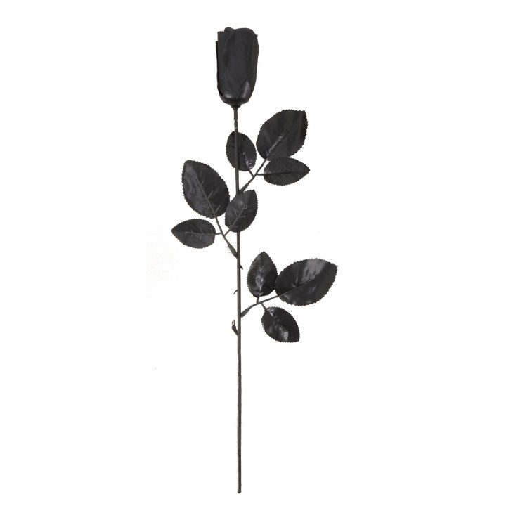 Rose noire
