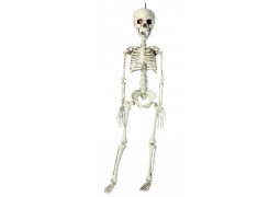 Squelette plastique 40cms