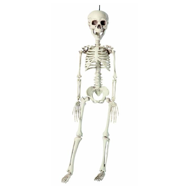 Squelette plastique 40cms
