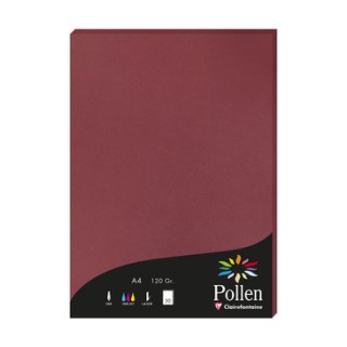Papier A4 bordeaux 120gr par 50