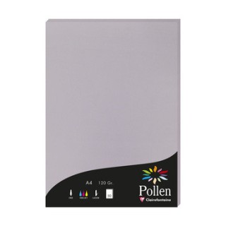 Papier A4 gris koala 120gr par 50