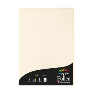 Papier A4 ivoire 120gr par 50