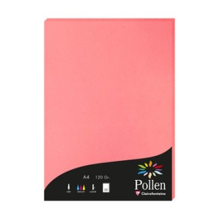 Papier A4 litchi 120gr par 50