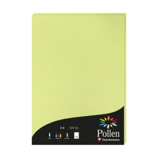 Papier A4 vert bourgeon 120gr par 50