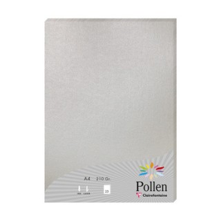 Papier A4 Argent 210gr par 25