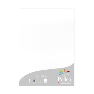 Papier A4 Blanc 210gr par 25