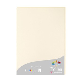 Papier A4 Ivoire 210gr par 25