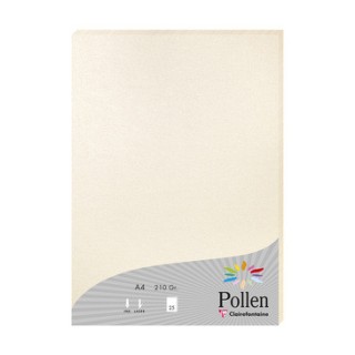 Papier A4 Ivoire irisé 210gr par 25