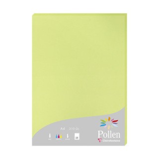 Papier A4 vert bourgeon 210gr par 25