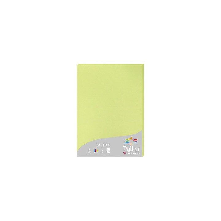 Papier A4 vert bourgeon 210gr par 25