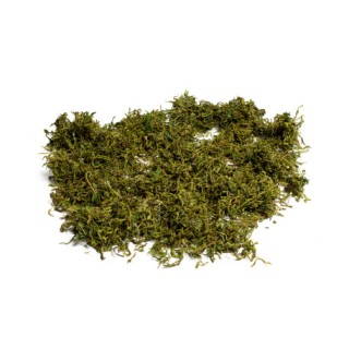 Mousse naturelle semi-sèche 50gr - Article de fête