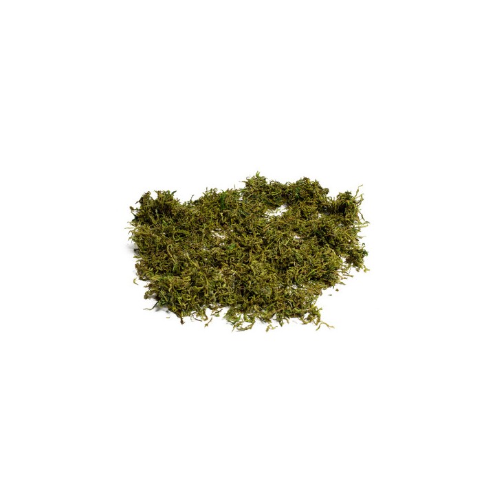 Mousse naturelle semi-sèche 50gr - Article de fête