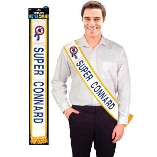 Écharpe mister connard